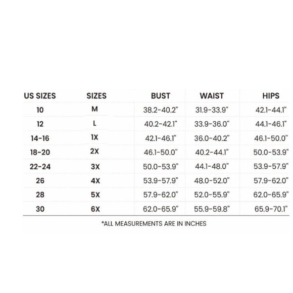 BloomChic Floral Embroidered Elastic Waist Lined Midi Dress Size 22-24 - Picture 7 of 8